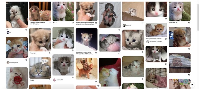 Screen Shot 2022-12-17 at 2.28.51 PM