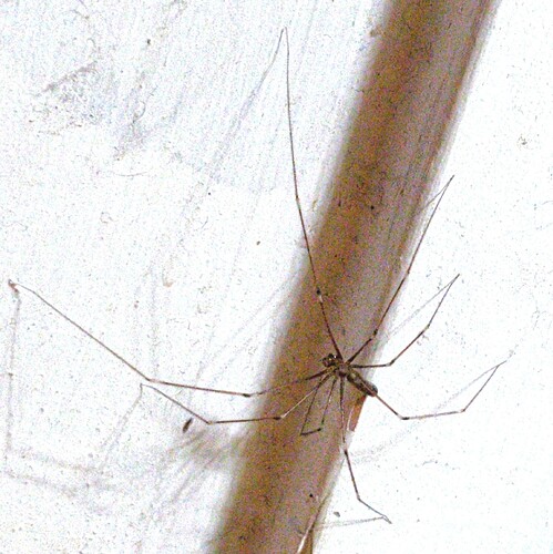 IMG_20251205_033805_1~2