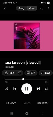 Song on Youtube with a purple and pink cover and the silhouette of a palm frond