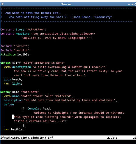 neovim-inform5