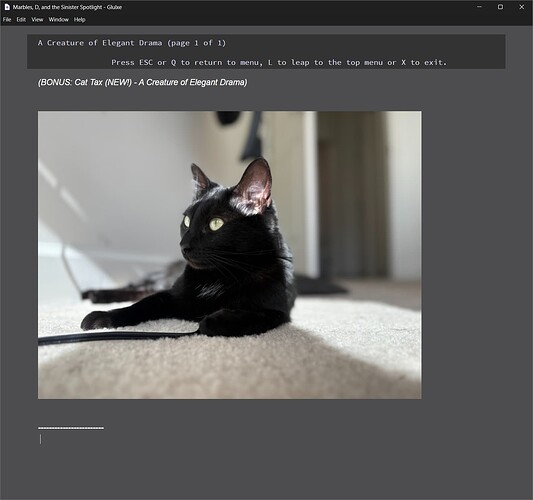 Screenshot 2025-05-21 124019