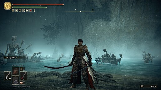ER arcane build