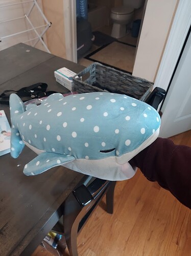 A photo of my arm stuck in the mouth of a plush whale shark.