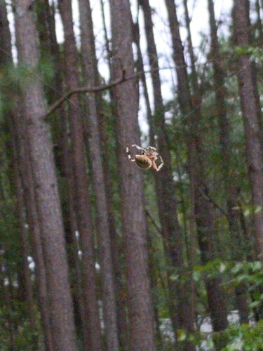 IMG_20251005_133522_0