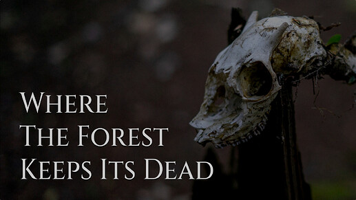 Where The Forest Keeps Its Dead (deer skull in a wooded clearing)