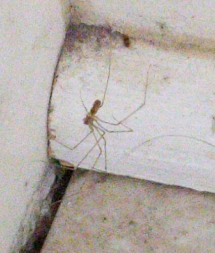 IMG_20251009_020430_1~2