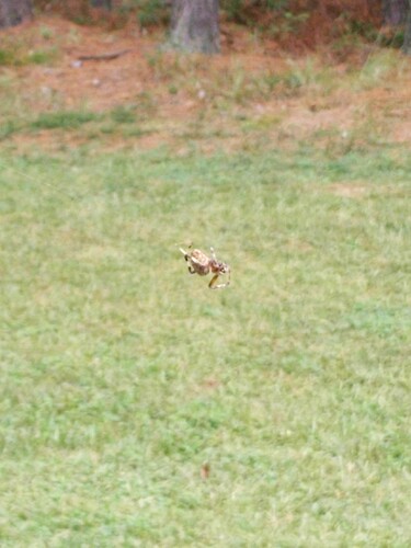 IMG_20251005_133339_0