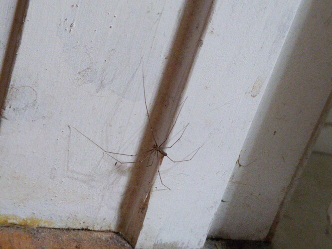 IMG_20251205_033805_1