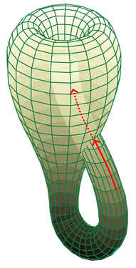 klein-2