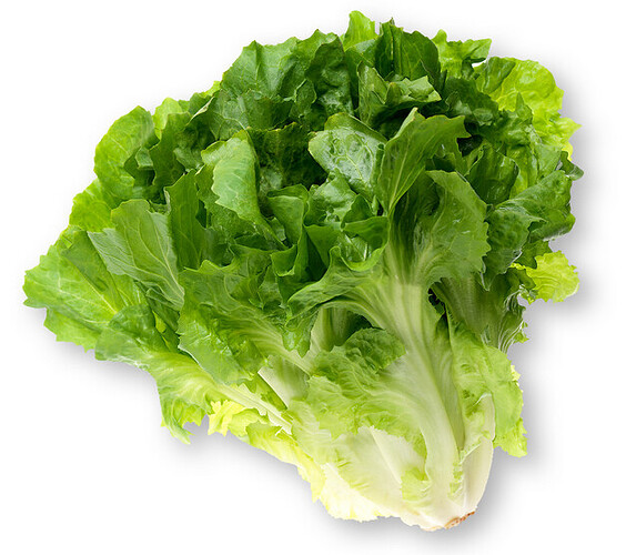 A small bunch of escarole, which is a kind of endive, but looks kinda like a head of lettuce