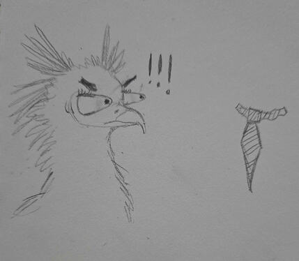 A drawing of Kirrah the secretarybird, glaring at a necktie