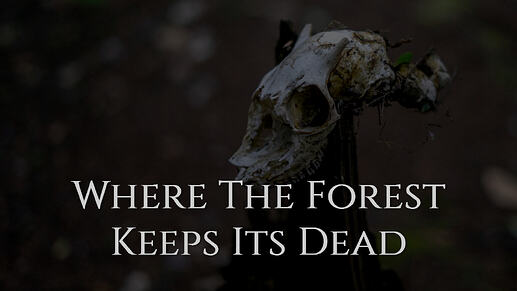 Where The Forest Keeps Its Dead (deer skull in a wooded clearing)