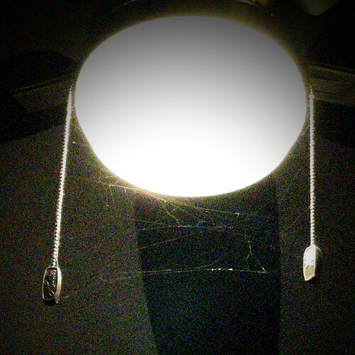 IMG_20251210_083335_0~2