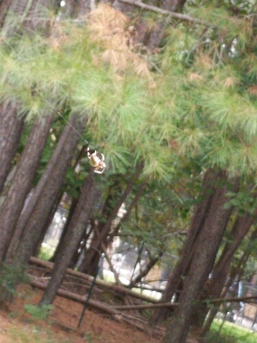 IMG_20251005_133409_2