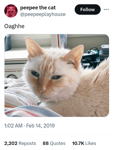 peepee the cat says: "Oaghhe"
