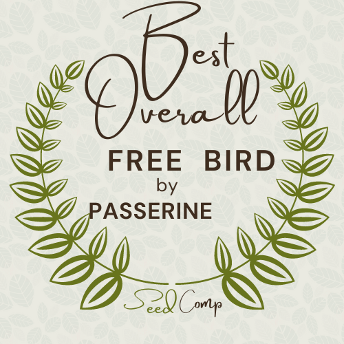 Best Overall - Free Bird