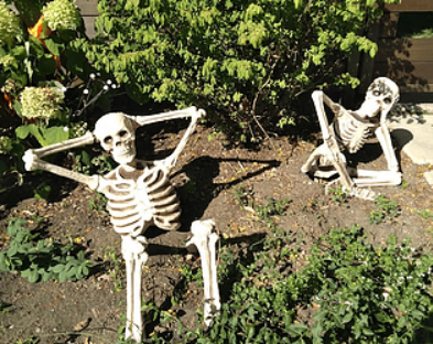 two spooky scary skeletons in what passes for a front yard in the city
