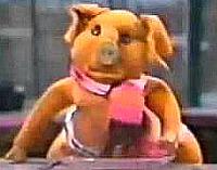 Pipkins Pig.jpg.opt200x157o0,0s200x157