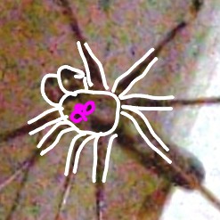 IMG_20251205_033805_1~3