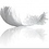 Crystalline_Entity