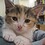 Felicity_Banks Felicity_Banks
