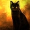 Jonathan_D