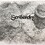 Scribarchist